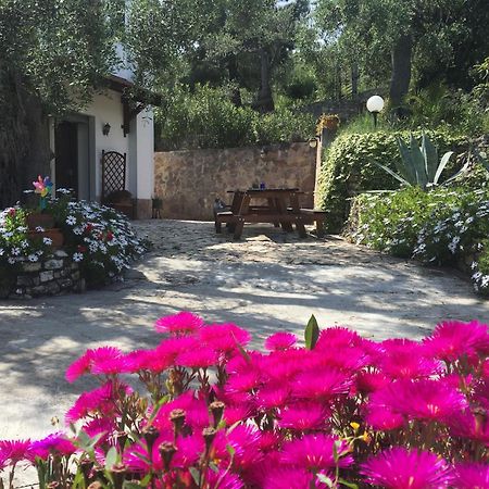 Azienda Agricola B&B Macchiaria Vieste Extérieur photo