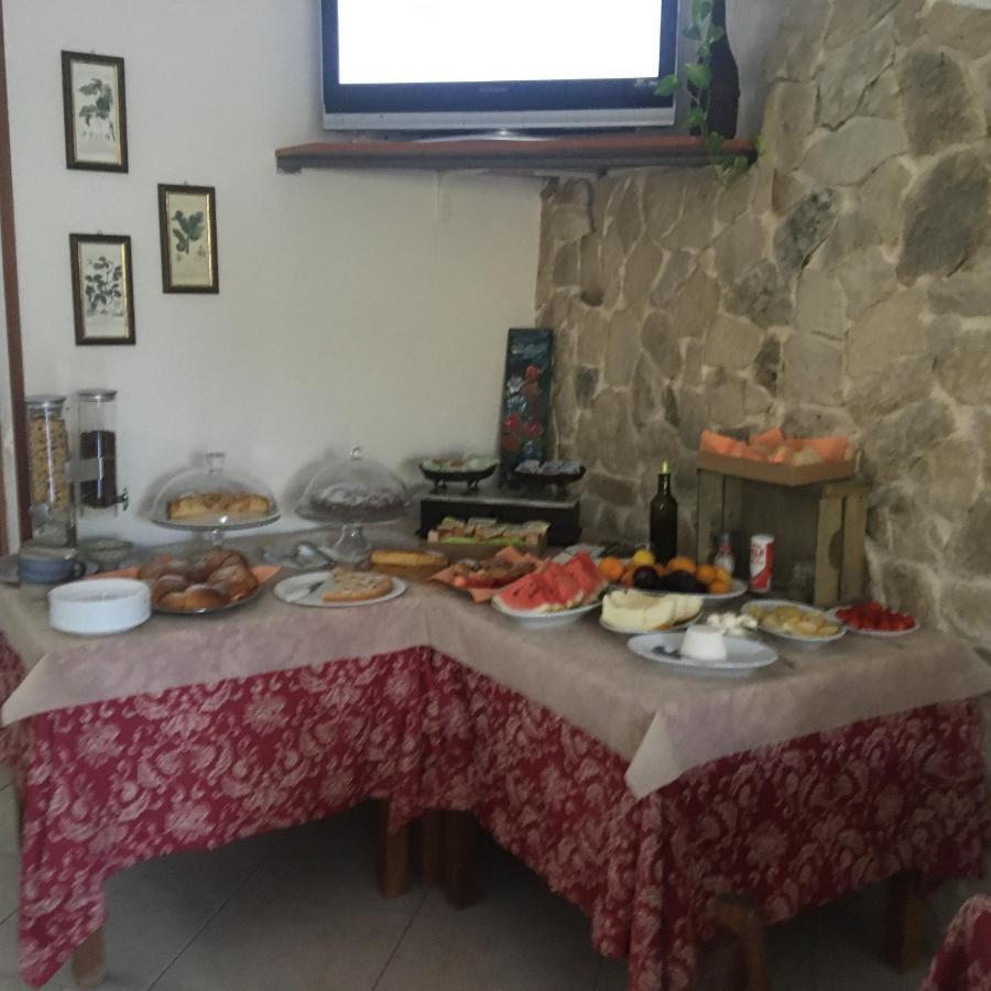 Azienda Agricola B&B Macchiaria Vieste Extérieur photo