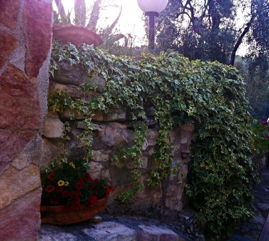 Azienda Agricola B&B Macchiaria Vieste Extérieur photo
