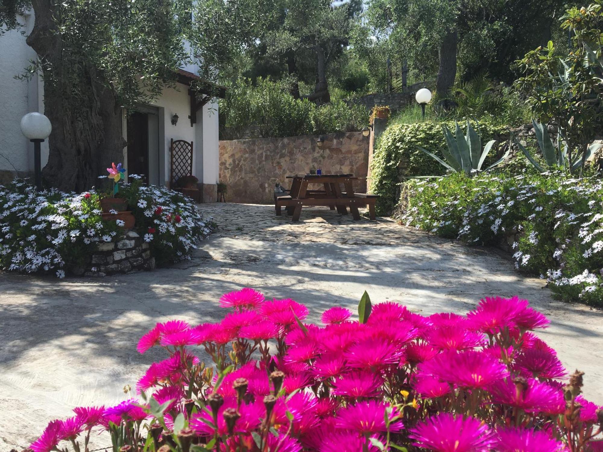 Azienda Agricola B&B Macchiaria Vieste Extérieur photo