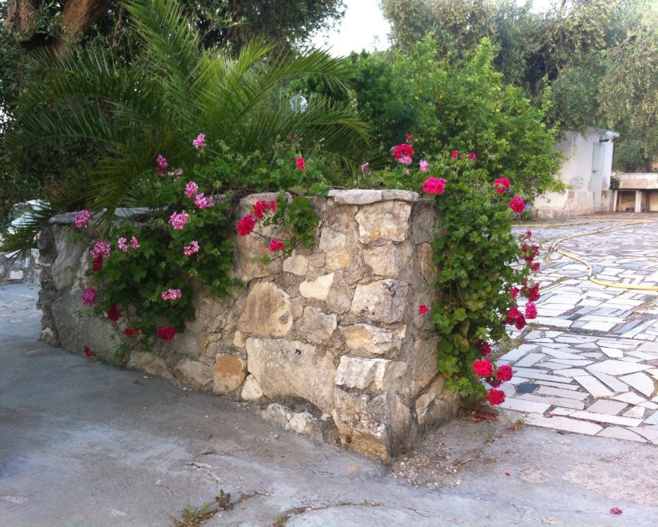 Azienda Agricola B&B Macchiaria Vieste Extérieur photo