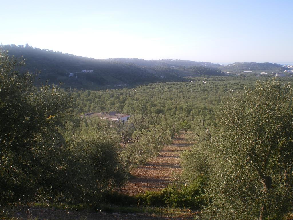 Azienda Agricola B&B Macchiaria Vieste Extérieur photo