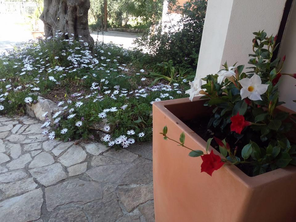 Azienda Agricola B&B Macchiaria Vieste Extérieur photo