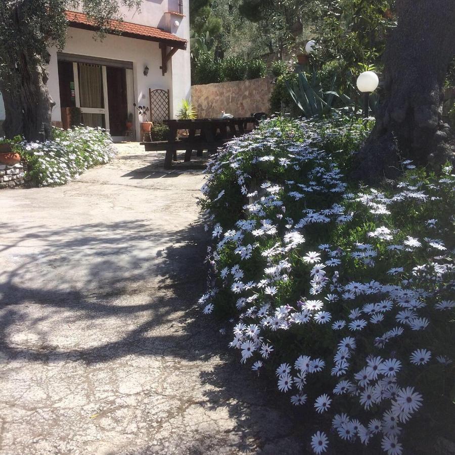 Azienda Agricola B&B Macchiaria Vieste Extérieur photo